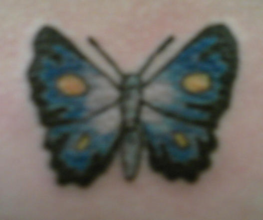 butterfly - butterfly tattoo