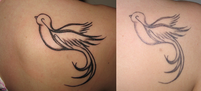 bird tattoos Sparrow Tattoo