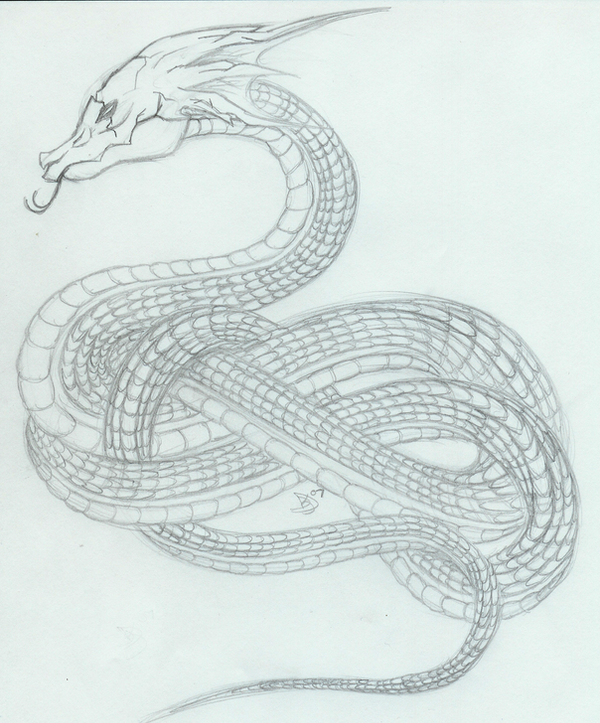 Snake Tattoo Design pencil by DarkDragonKyra on deviantART