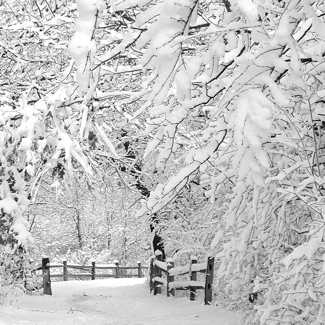 pictures of winter wonderland. Entering Winter Wonderland. by