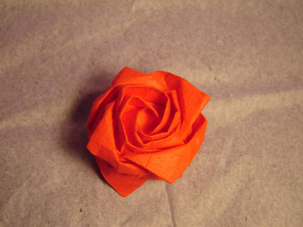 dollar bill origami rose. magic rose Queue flower origami designs origamijul Largeadvanced origami who want the rose instructions , cube rosejan Origami+rose+box+instructions