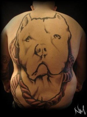 Pit Bull Tattoos. American Pit Bull Backpiece