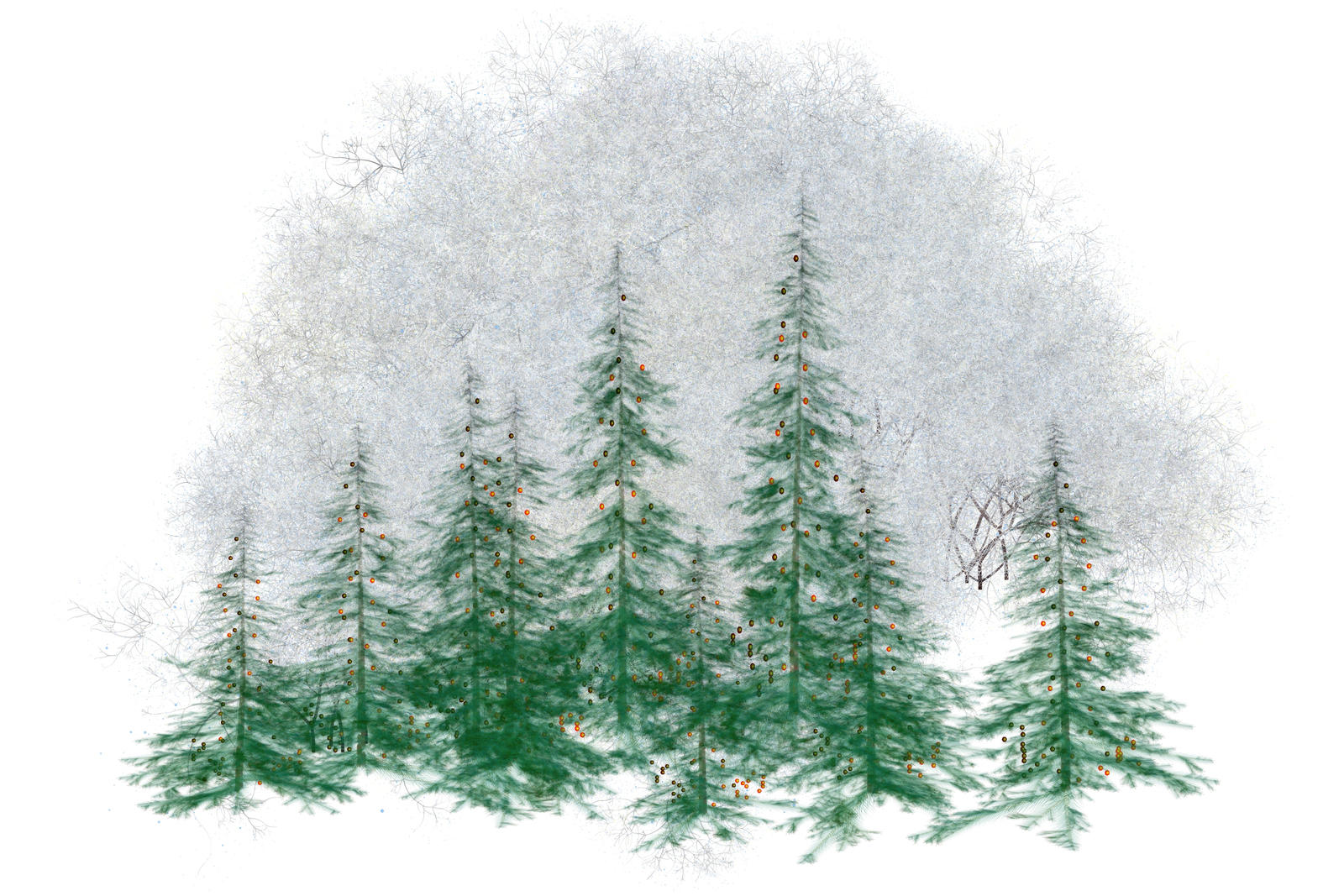 winter forest clipart - photo #2