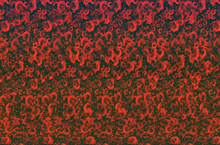 Adult Stereograms 108