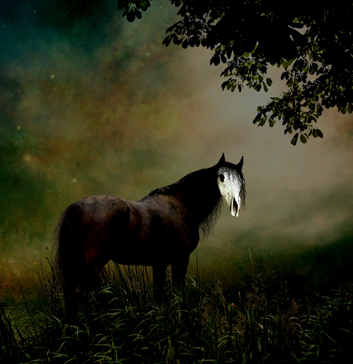 A_Horse_with_no_name____by_Empethy.jpg