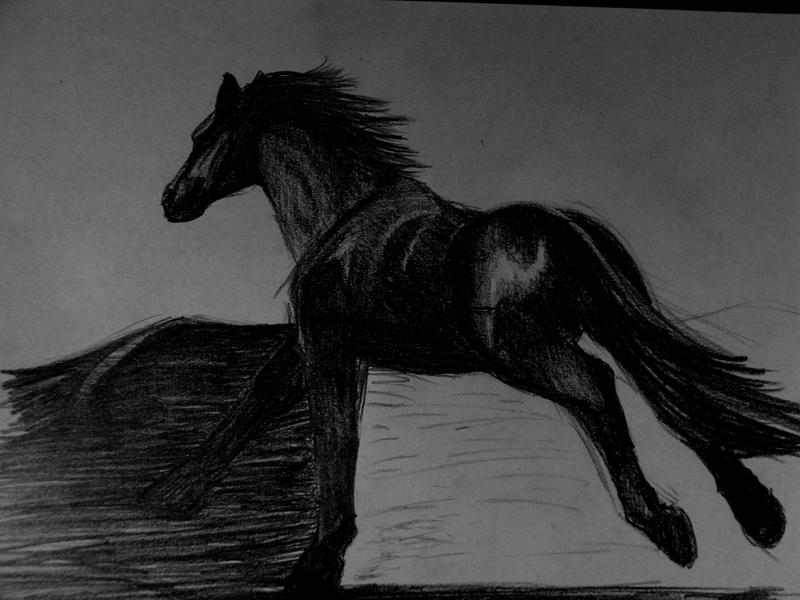 Sketch Horse Running