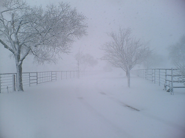 Snow_Storm_by_Vanilla105.jpg