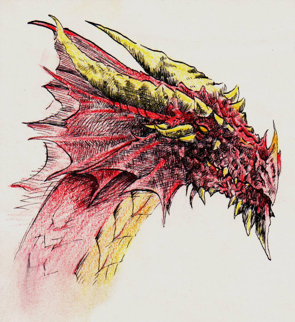 http://fc04.deviantart.net/fs26/i/2008/100/e/e/Dragons___Red_Dragon_by_yunuskocatepe.jpg