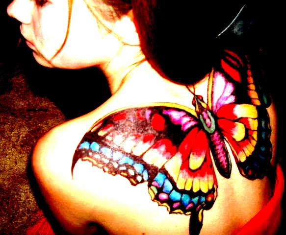 A Butterfly for Katy