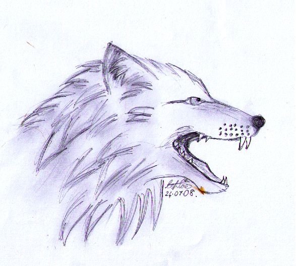 wolf head tattoo. Contours of a wolfs head ring