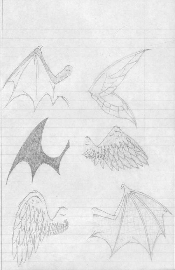how i draw wings by nyabunny605 on deviantART