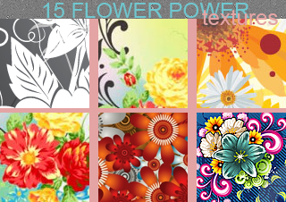 http://fc04.deviantart.net/fs37/i/2008/287/3/d/Flower_Power___Icon_Textures_by_heavensmiles18.png