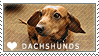 Dachshund_Love_Stamp_by_cloudrat.gif