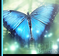 Butterfly_by_Alejandro94Taker