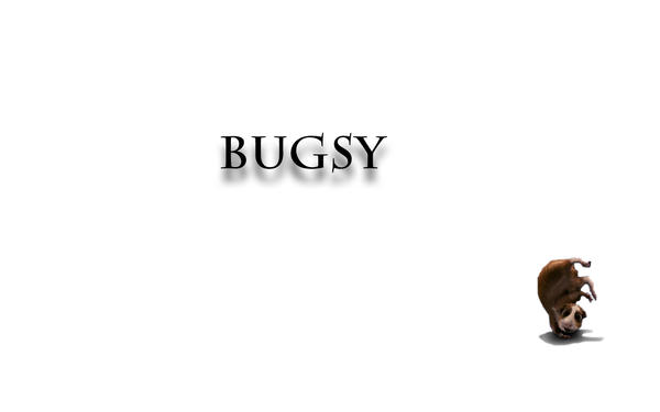 Bedtime Stories Bugsy 2 by