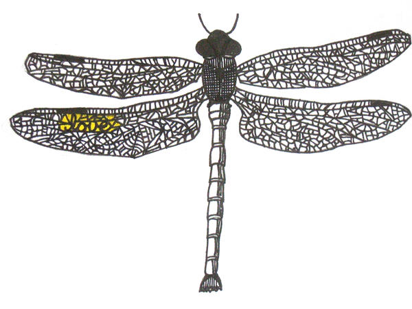 dragonfly - dragonfly tattoo