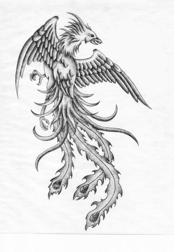 Phoenix Tattoo by XenatheConqueror on deviantART