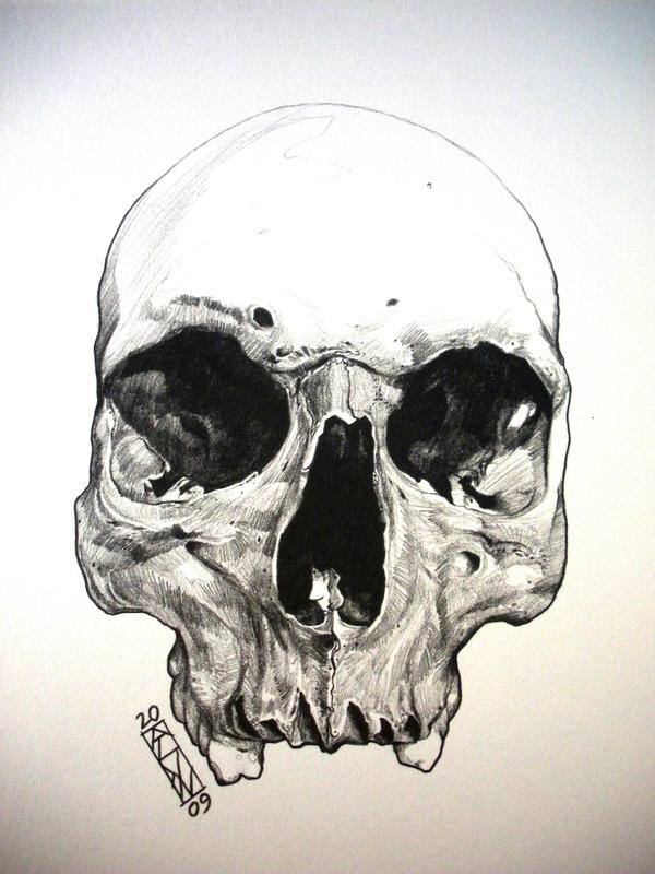 sutures in skull. Sutures In Skull.