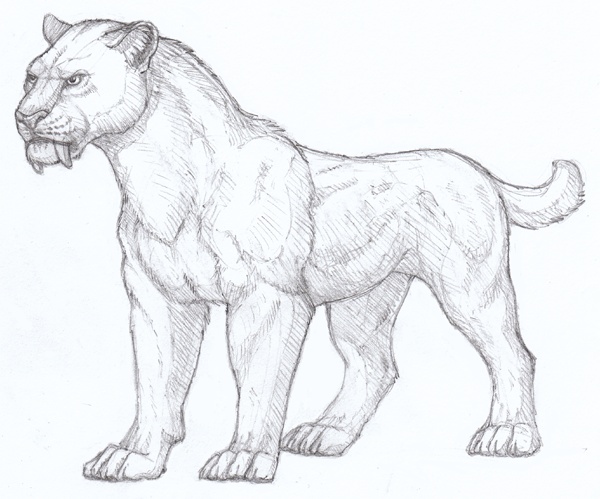 saber toothed cat coloring pages - photo #25