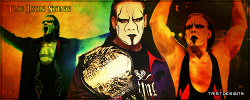 http://fc04.deviantart.net/fs49/f/2009/214/2/6/TNA_Icon_Sting_Banner_by_Trist89.jpg
