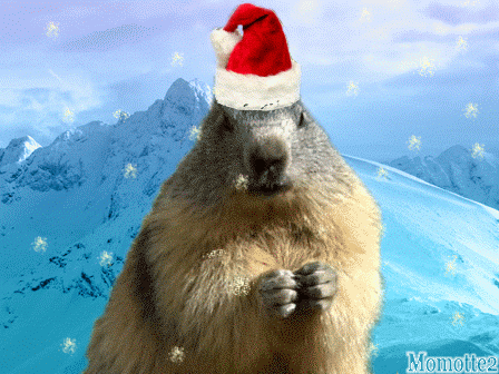 http://fc04.deviantart.net/fs70/f/2009/345/b/c/Merry_Christmas_to_all_by_Momotte2.gif