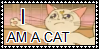 SAILOR_MOON_ABRIDGED_STAMP_8D_by_SweetTails247.png