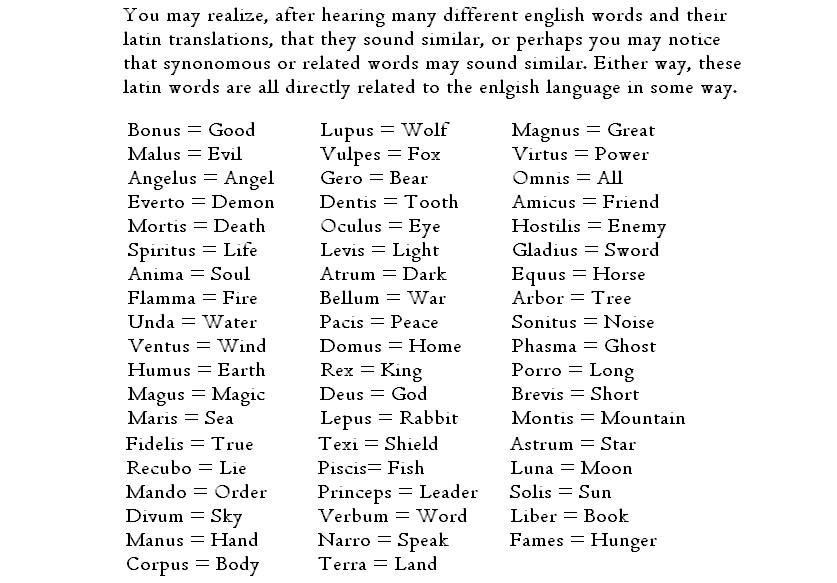 English To Latin Language Translation 47