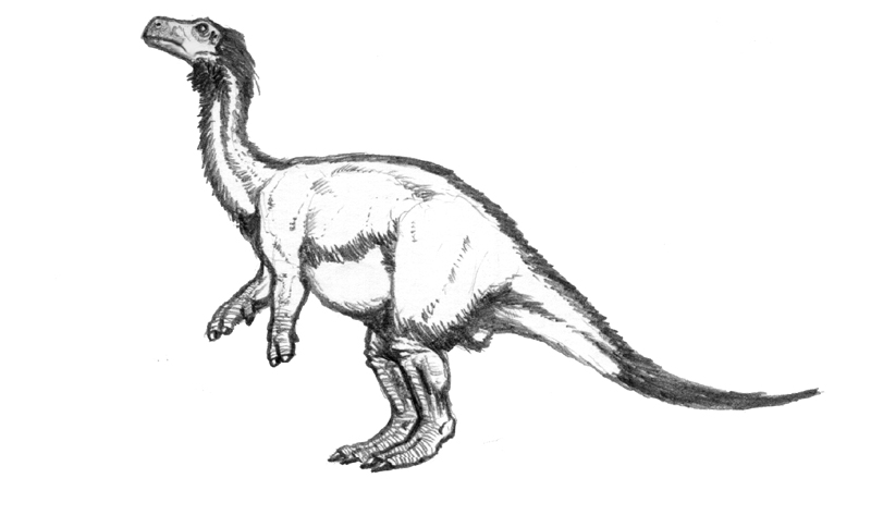 Unaysaurus Tolentinoi by Dinostavros