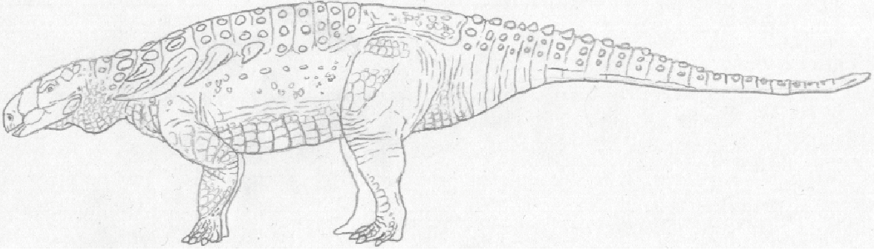 Glyptodontopelta lineart by Tomozaurus