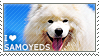 I love Samoyeds by WishmasterAlchemist