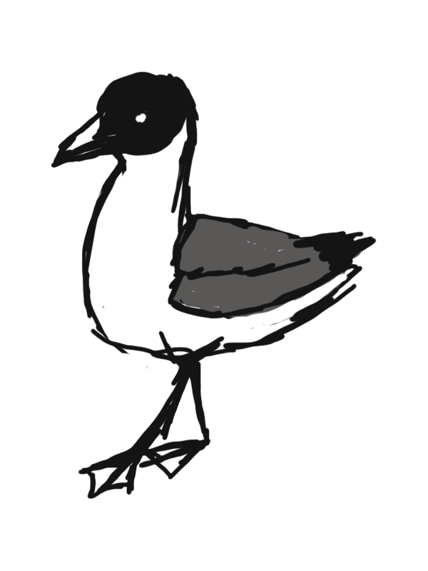animated seagull