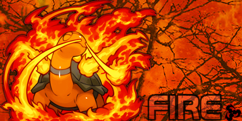 pokemon_fire_banner_by_atomicreset-d5hf3rv
