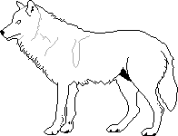 realistic_wolf_lineart_free_by_tahbikat-d65ckxl.png
