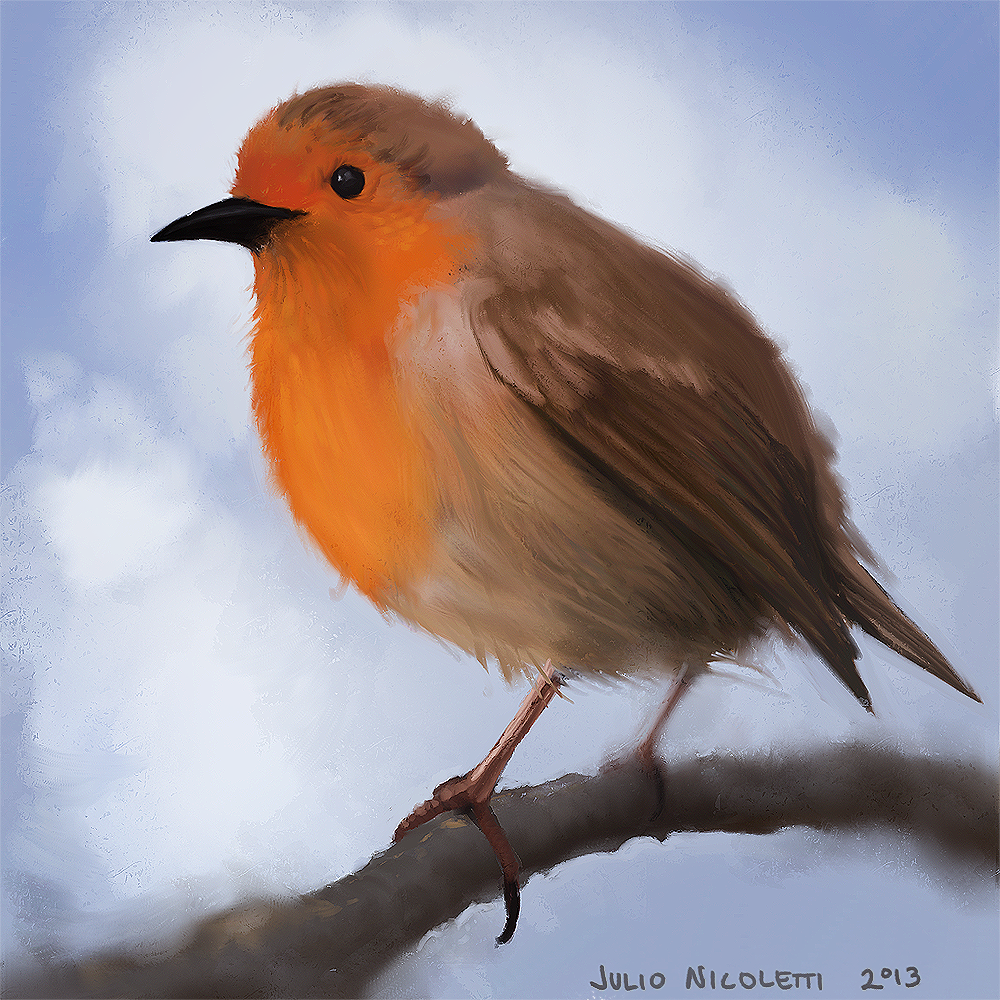 robin_by_julionicoletti-d6zkp3h.png