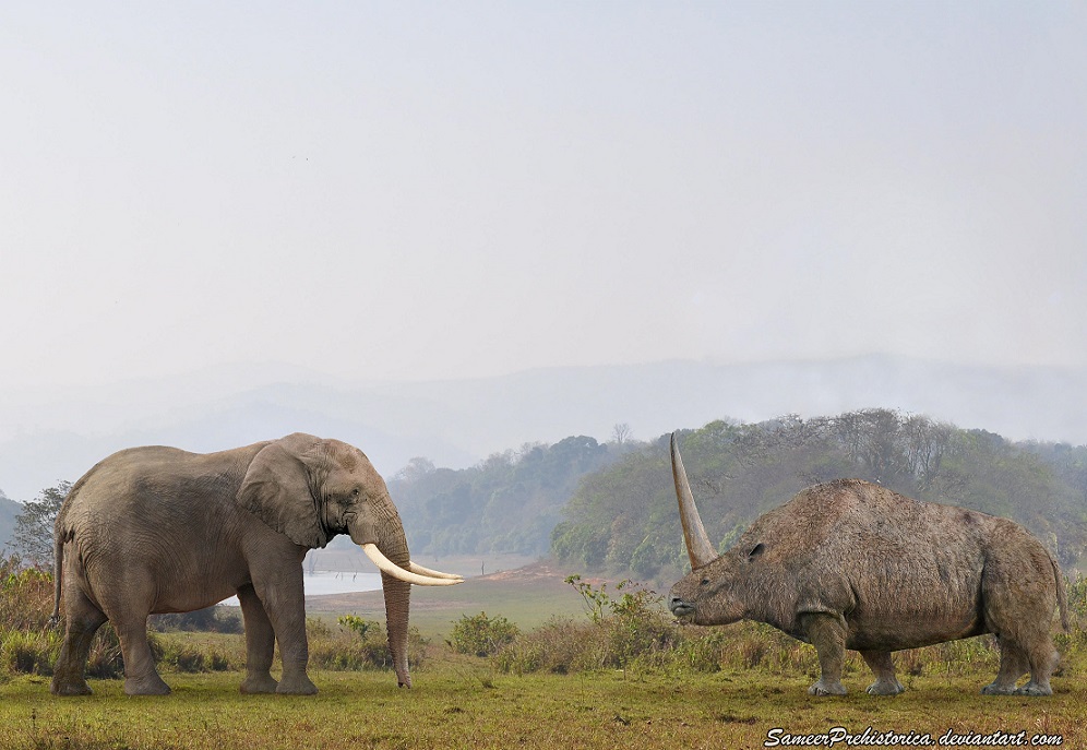 http://fc04.deviantart.net/fs70/f/2014/011/c/5/african_elephant_vs_elasmotherium_by_sameerprehistorica-d5kr9go.jpg