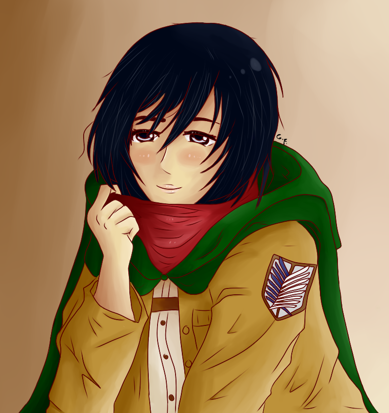 mikasa_by_general_fab-d8h16st.png