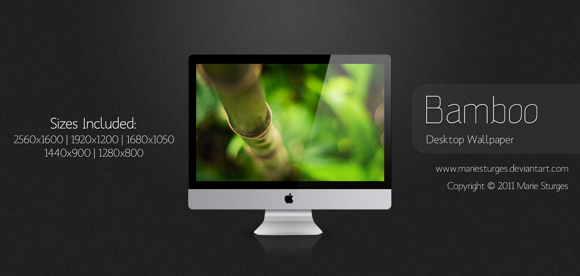 Bamboo wallpaper for Windows 7 desktop