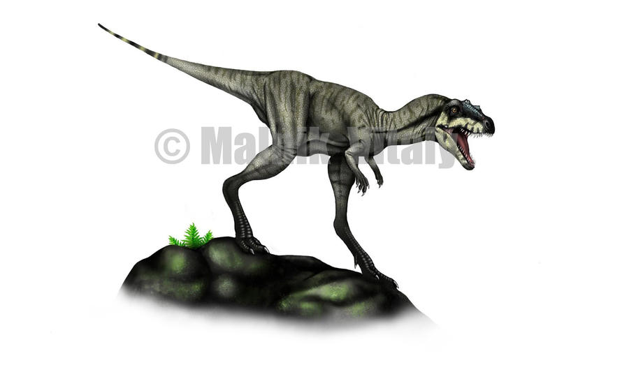 http://fc04.deviantart.net/fs70/i/2012/326/a/5/camarillasaurus_cirugedae_by_malvit-d5lt54i.jpg
