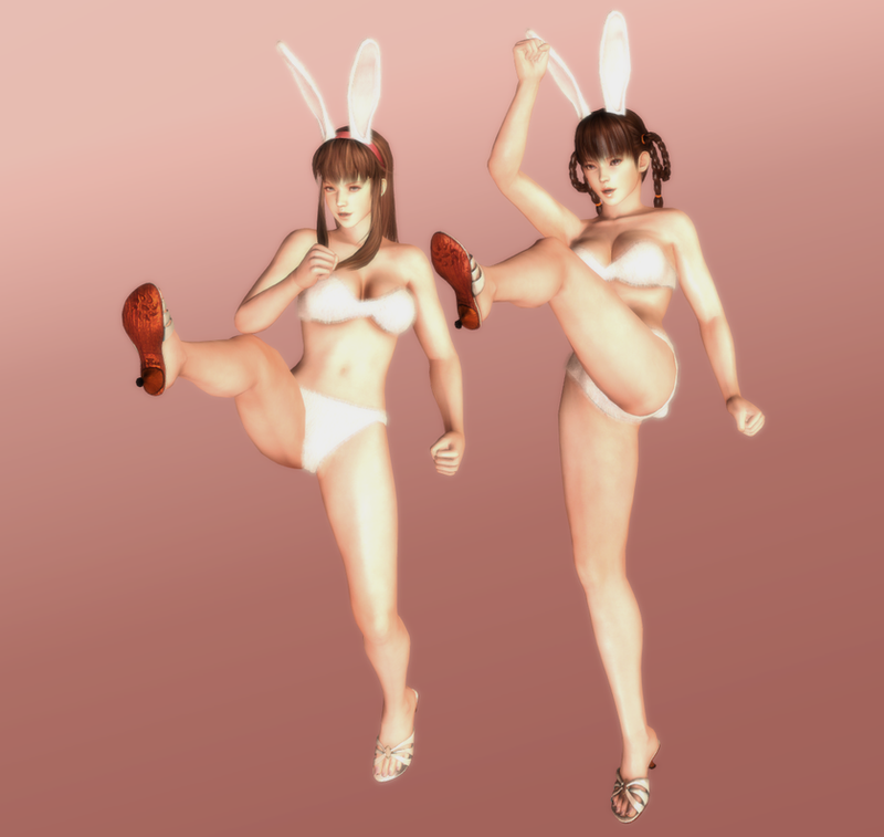 hitomi_and_leifang___happy_bunnies___06_by_hentaiahegaolover-d5qyg0q.png