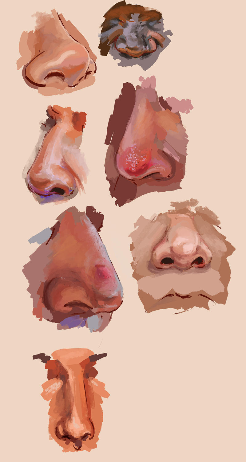 [Image: noses_by_canoda-d5t4ssn.jpg]