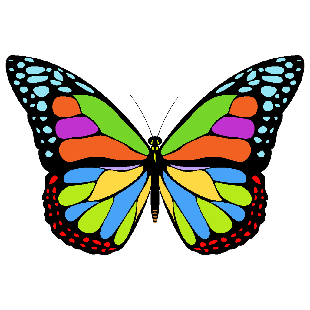 png clipart- butterfly pack - photo #22