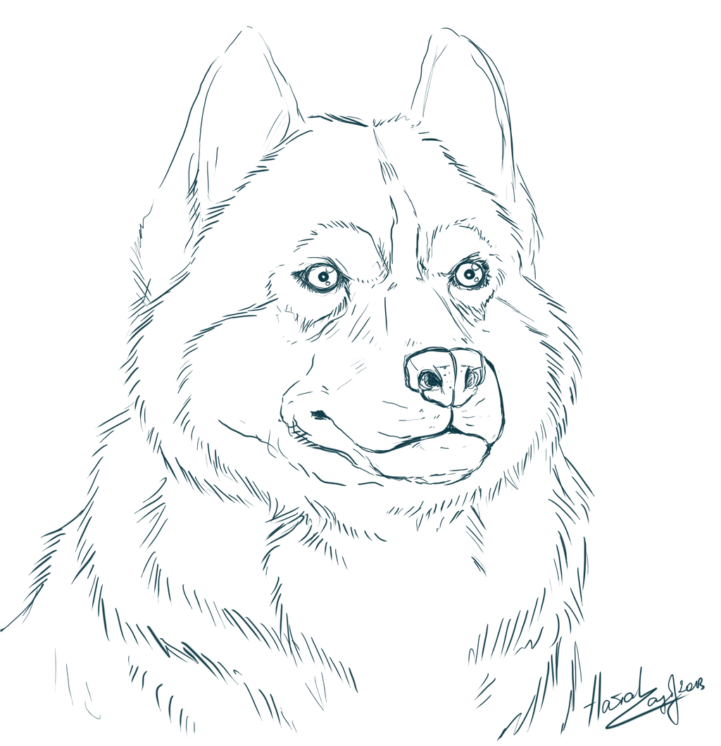 baby husky coloring pages to print - photo #26