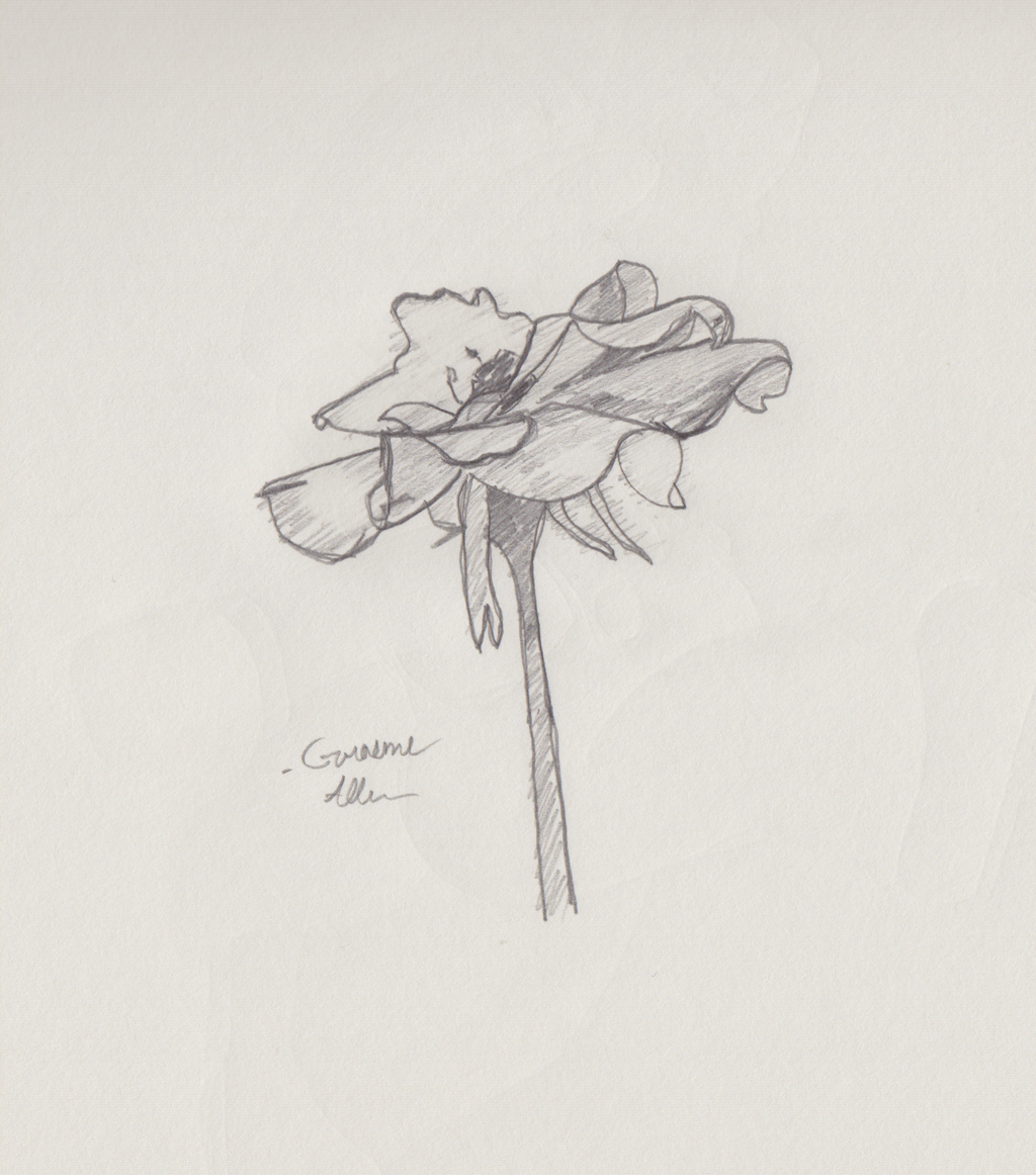 http://fc04.deviantart.net/fs70/i/2014/232/1/b/flower_w__some_shading_by_itwashissled-d7vx2tw.png