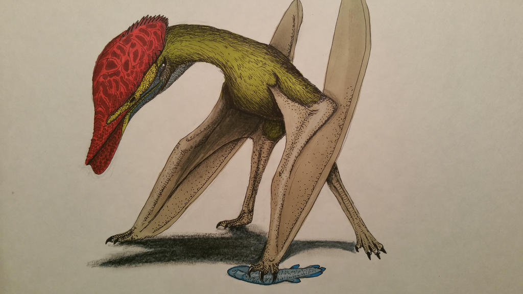 corythodactylus_mergus_by_spinosaurus1-d8g6vwc.jpg