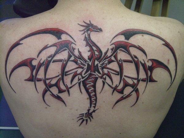 Tribal Dragon Tattoo Collections