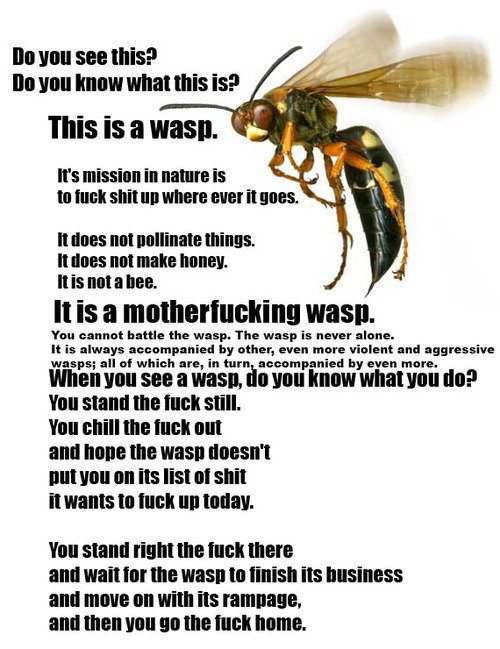 THIS_IS_A_FUCKING_WASP_by_Helwan.jpg