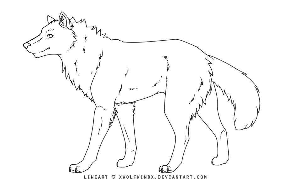 anime wolf lineart. Wolf Lineart 2 by *xWolfWindx