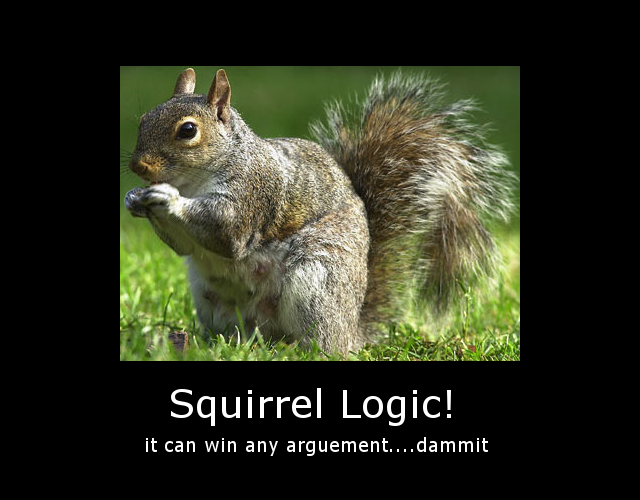 Squirrel_Logic_by_Aceotaku.png