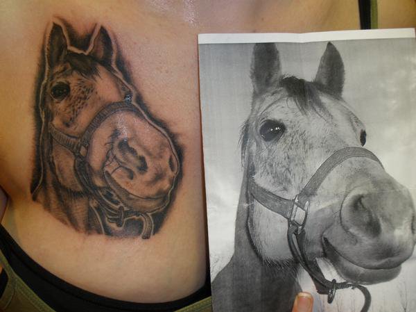 Horse on chest - chest tattoo