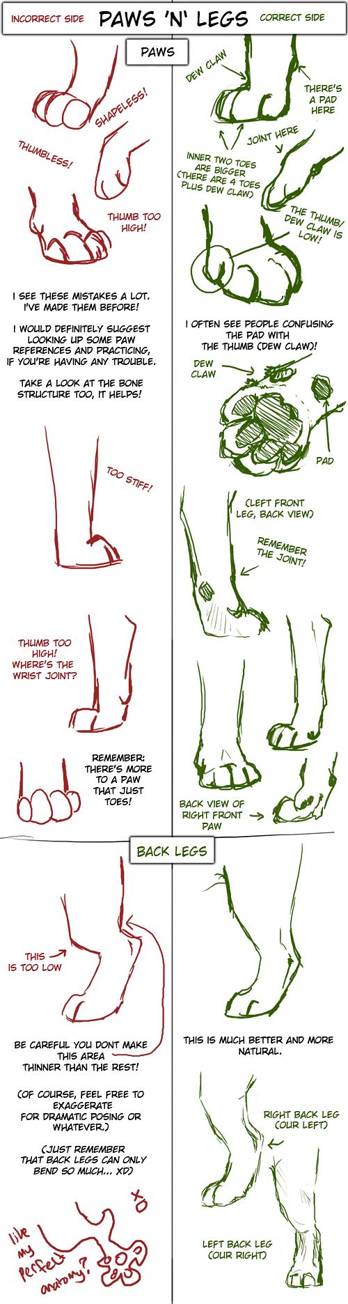 big_cat_paw_and_leg_tutorial_by_tamberella-d3etkjc